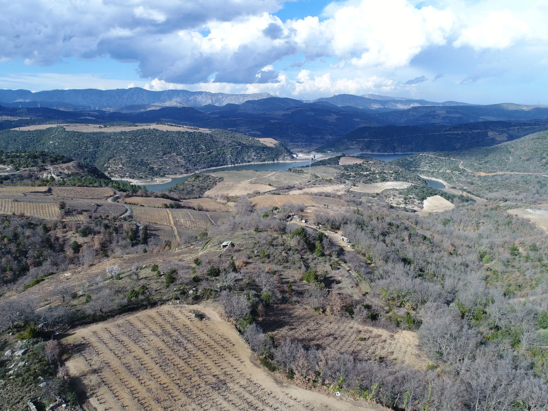 drone-pour-agriculture